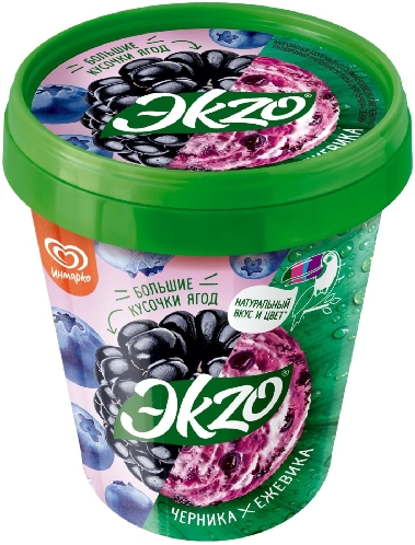 Мороженое Эkzo Черника-Ежевика 2.5% 520г  Орск