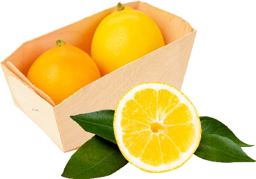 Лимоны Узбекистан 2шт упаковка 9006022