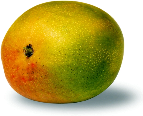 Спелый плод Манго 0.3-0.6кг